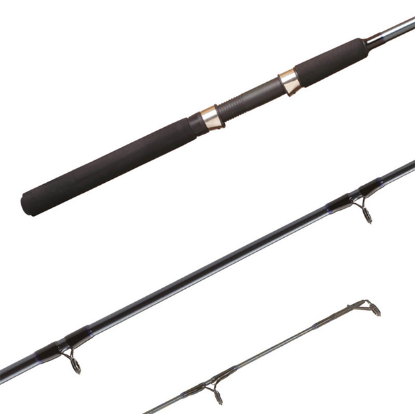 Picture of Shimano FXS 2 Piece Rod