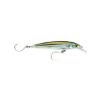 Picture of Rapala Long Cast