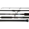 Picture of Nomad Offshore Spin Rod