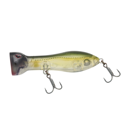 Picture of Nomad Chug Norris Popper 72mm AT FR