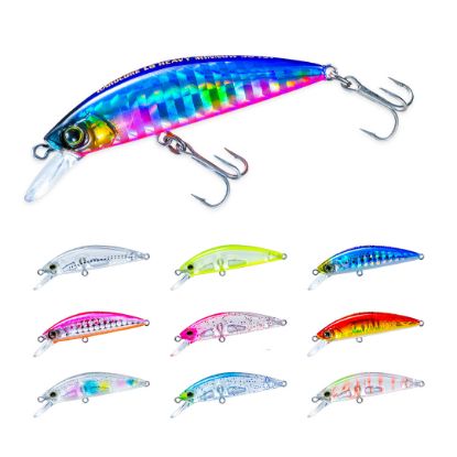 Picture of Hardcore LG Heavy Minnow Lure