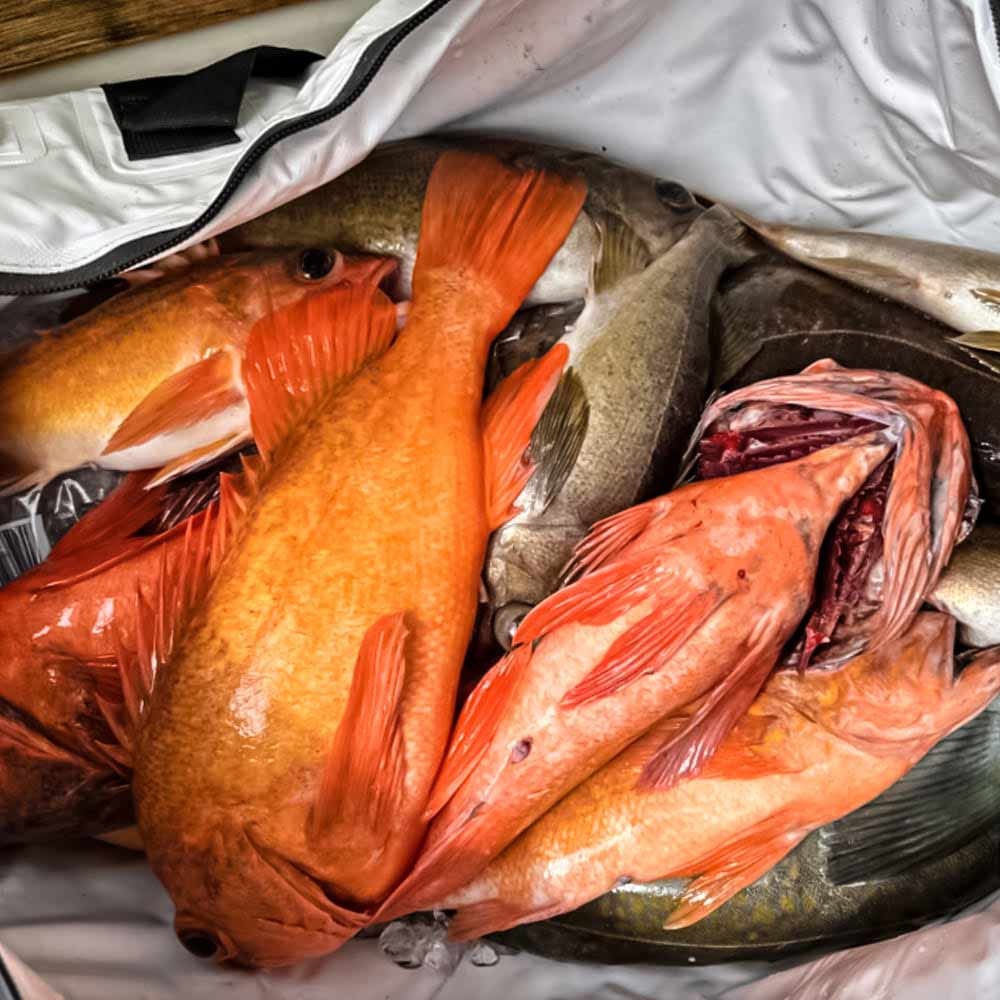 Picture of Buffalo Gear Insulated Waterproof Fish Cooler Kill Bag 120x30x50cm 80L