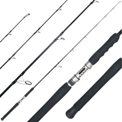 Picture of Shimano Terez Spinning Rod