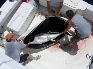 Picture of Buffalo Gear Insulated Waterproof Fish Cooler Kill Bag 180x75cm